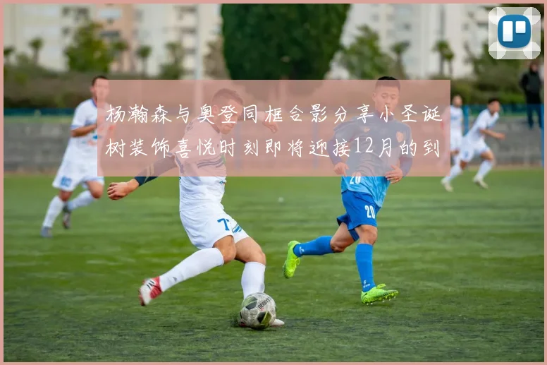 杨瀚森与奥登同框合影分享小圣诞树装饰喜悦时刻即将迎接12月的到来