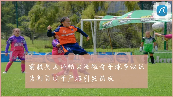 前裁判点评帕夫洛维奇手球争议认为判罚过于严格引发热议