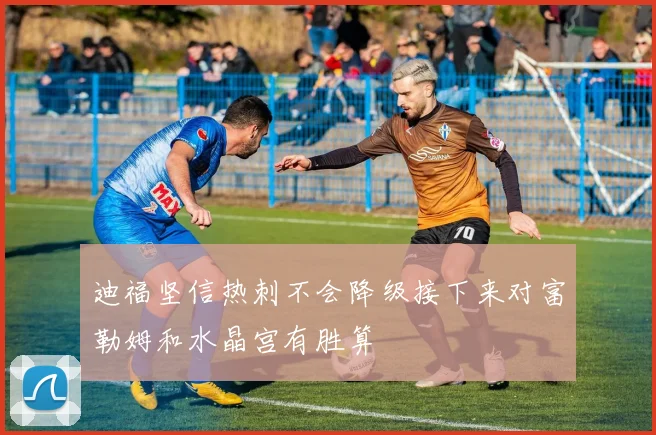 迪福坚信热刺不会降级接下来对富勒姆和水晶宫有胜算